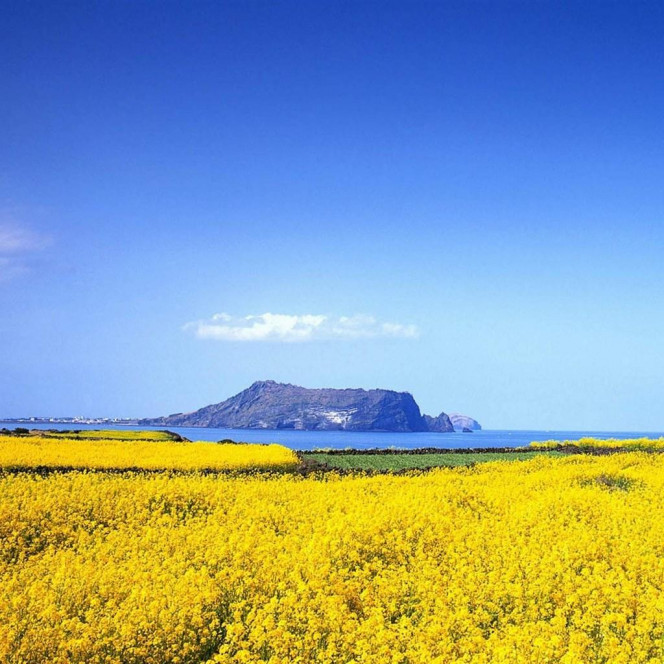 一张美味的图片 &middot; #2448