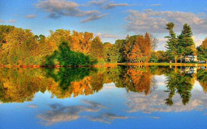 一张美味的图片 &middot; #2102