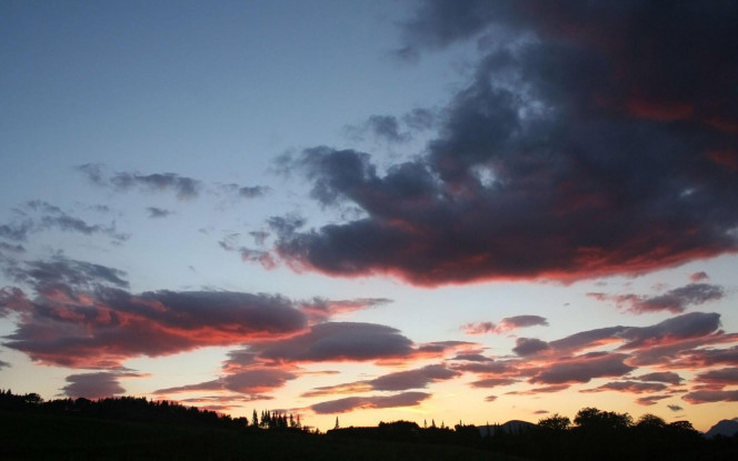 一张美味的图片 &middot; #2731