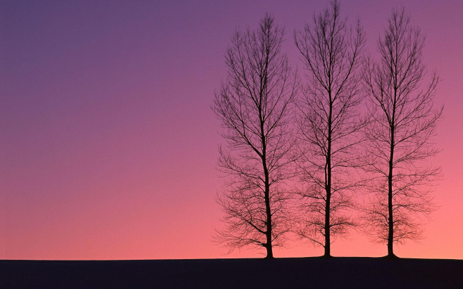 一张美味的图片 &middot; #2188