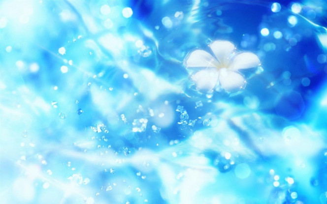 一张美味的图片 &middot; #2488