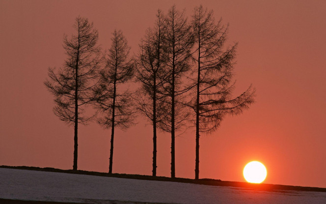 一张美味的图片 &middot; #2216