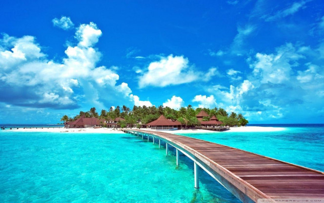 一张美味的图片 &middot; #3108