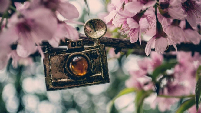 一张美味的图片 &middot; #3525