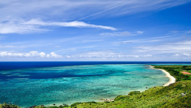 一张美味的图片 &middot; #2364