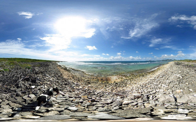 一张美味的图片 &middot; #1532