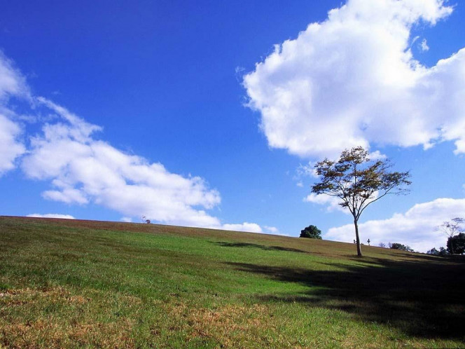 一张美味的图片 &middot; #905