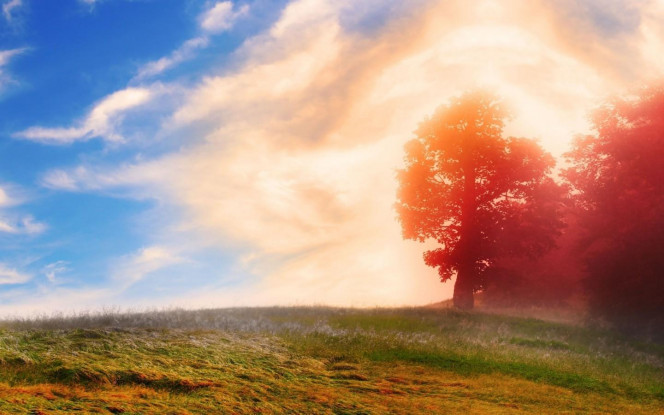 一张美味的图片 &middot; #3243