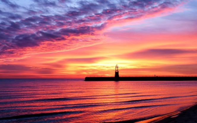 一张美味的图片 &middot; #1023