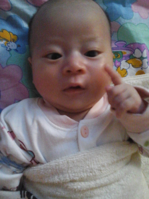 一张美味的图片 &middot; #5178