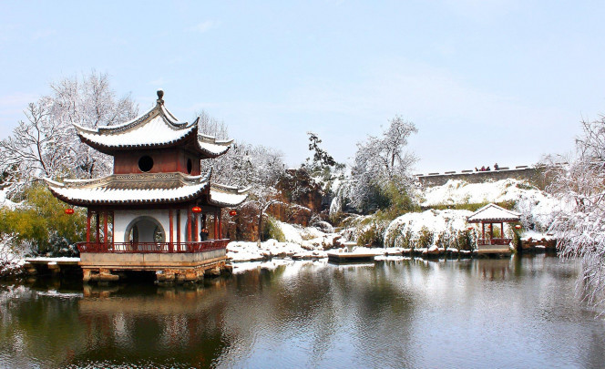 一张美味的图片 &middot; #1429