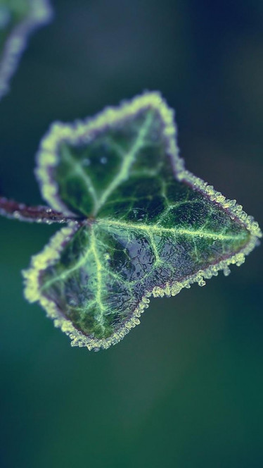 一张美味的图片 &middot; #173