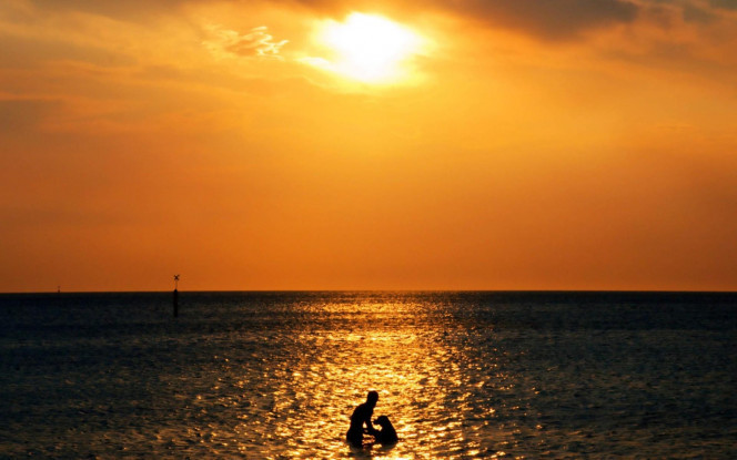 一张美味的图片 &middot; #1298