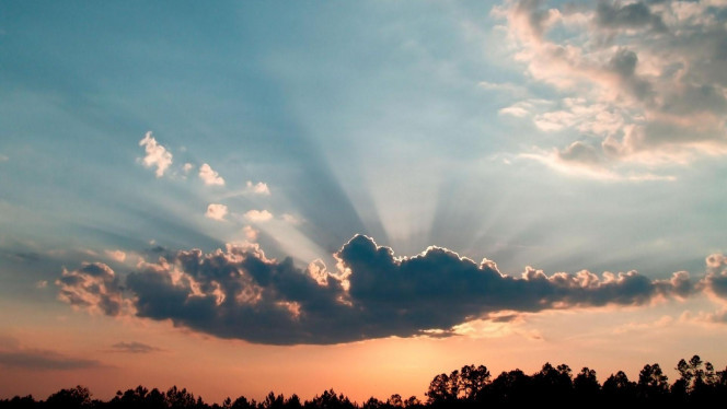 一张美味的图片 &middot; #4217