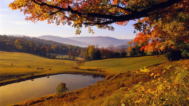 一张美味的图片 &middot; #3321