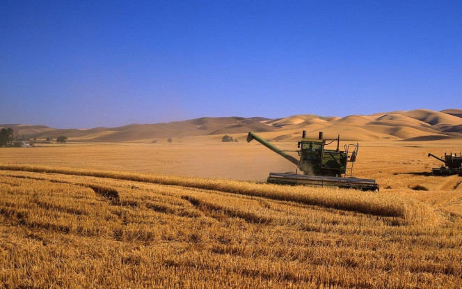 一张美味的图片 &middot; #3319