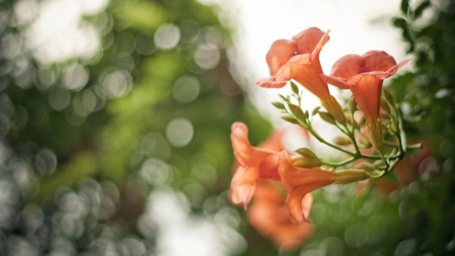 一张美味的图片 &middot; #2255