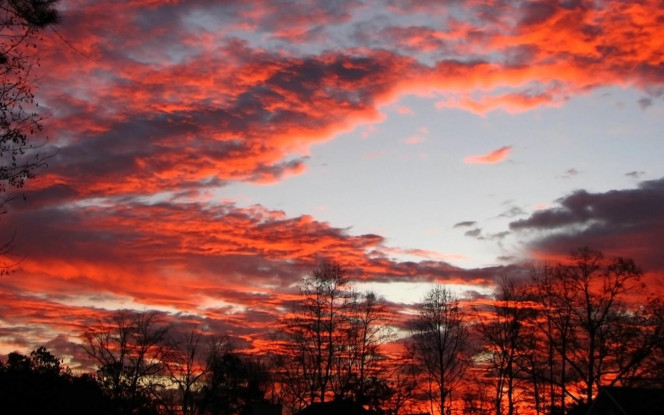 一张美味的图片 &middot; #1176