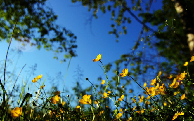 一张美味的图片 &middot; #1097