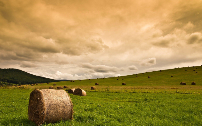 一张美味的图片 &middot; #14