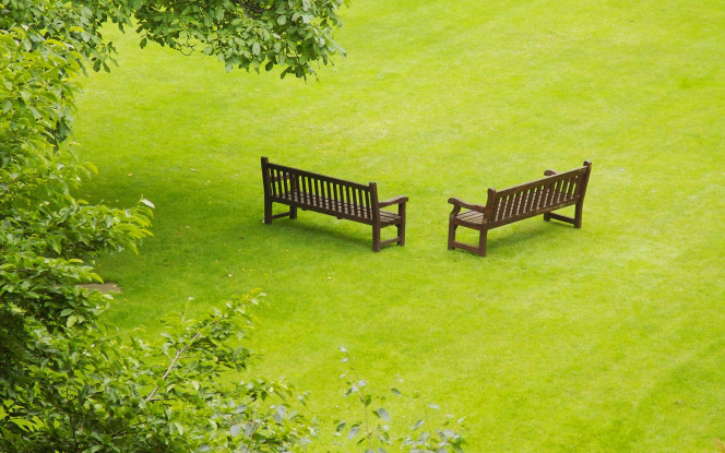 一张美味的图片 &middot; #75