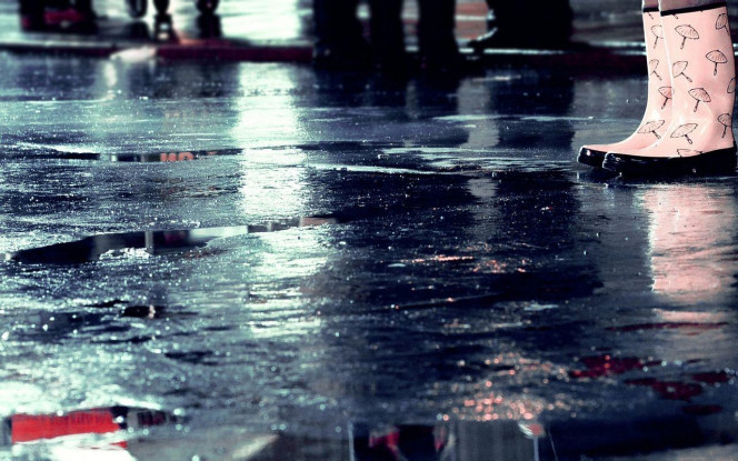 一张美味的图片 &middot; #2027