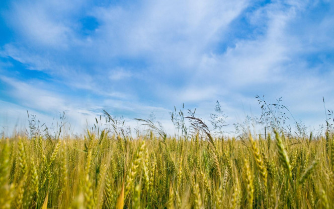 一张美味的图片 &middot; #3082