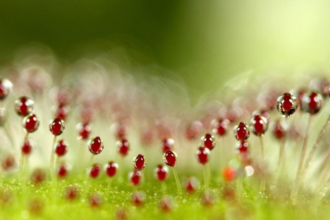 一张美味的图片 &middot; #2892