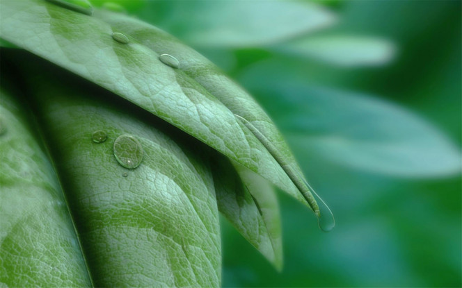 一张美味的图片 &middot; #3102