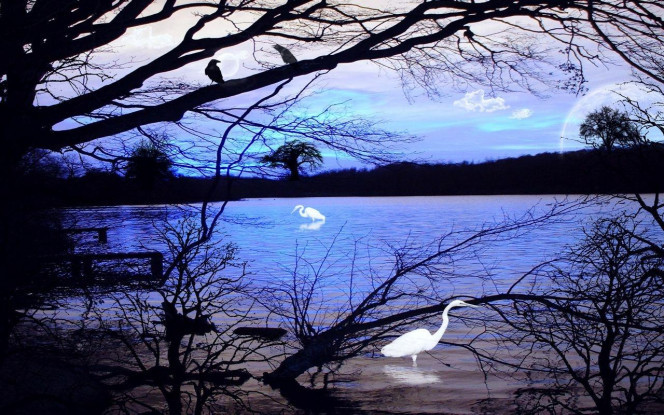 一张美味的图片 &middot; #2078