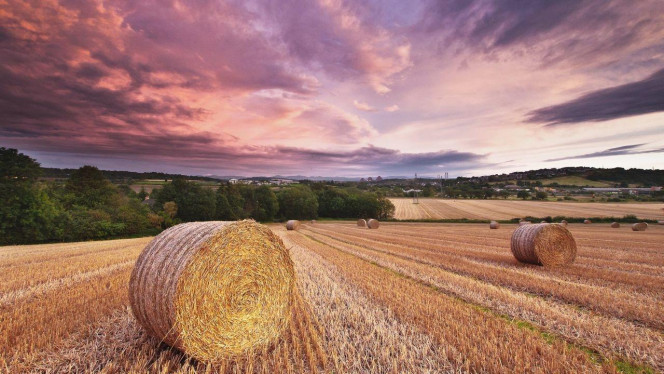 一张美味的图片 &middot; #2317