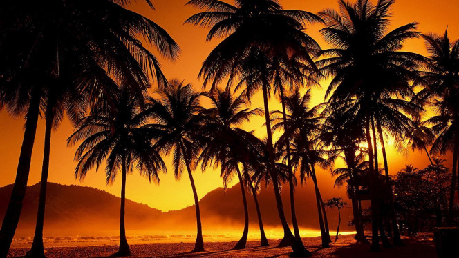 一张美味的图片 &middot; #1137