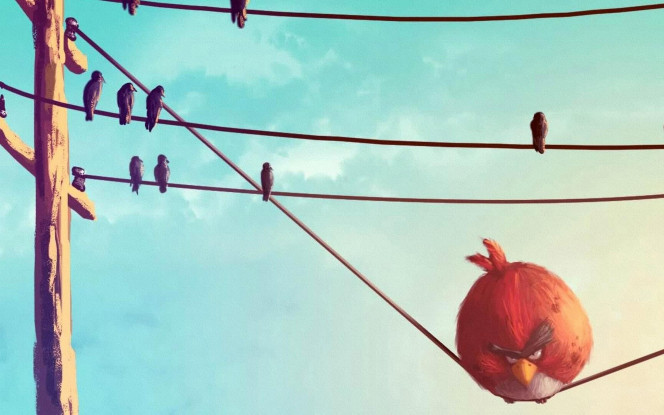 一张美味的图片 &middot; #30