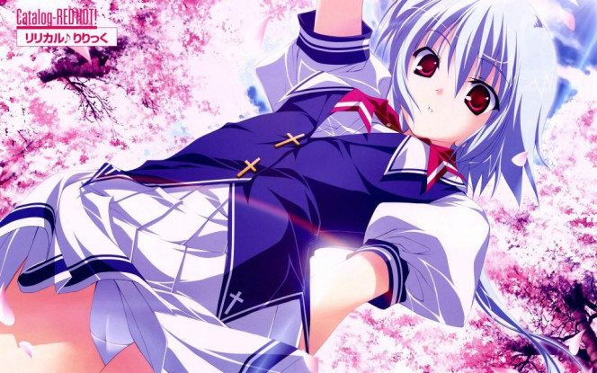 一张美味的图片 &middot; #5158