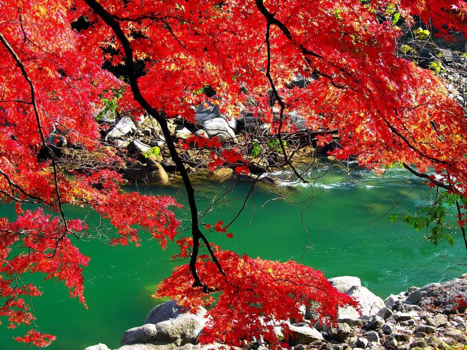 一张美味的图片 &middot; #912