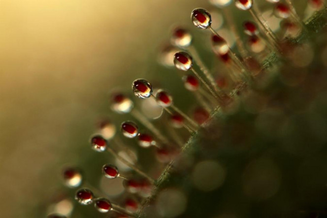 一张美味的图片 &middot; #2837