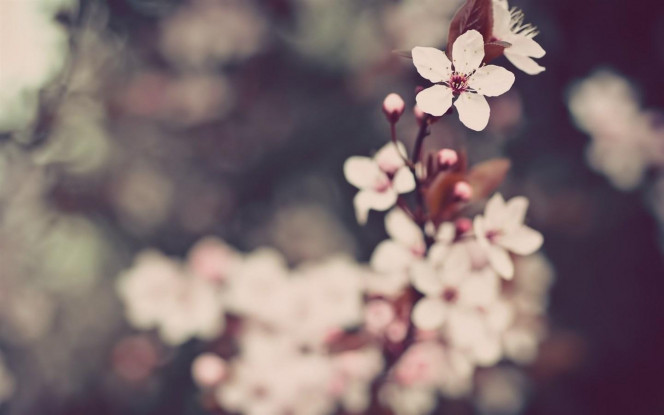 一张美味的图片 &middot; #2689