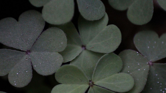 一张美味的图片 &middot; #3461