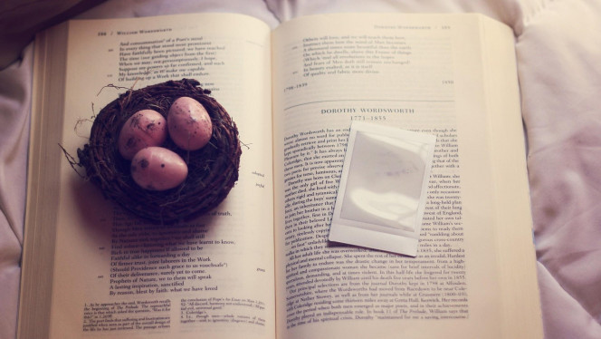 一张美味的图片 &middot; #2139