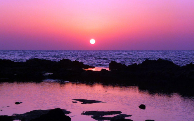 一张美味的图片 &middot; #2714