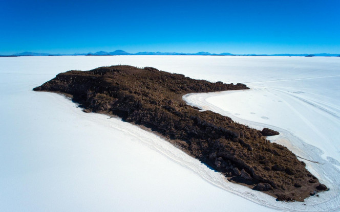 一张美味的图片 &middot; #2344