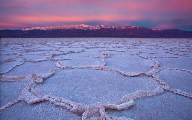 一张美味的图片 &middot; #3487