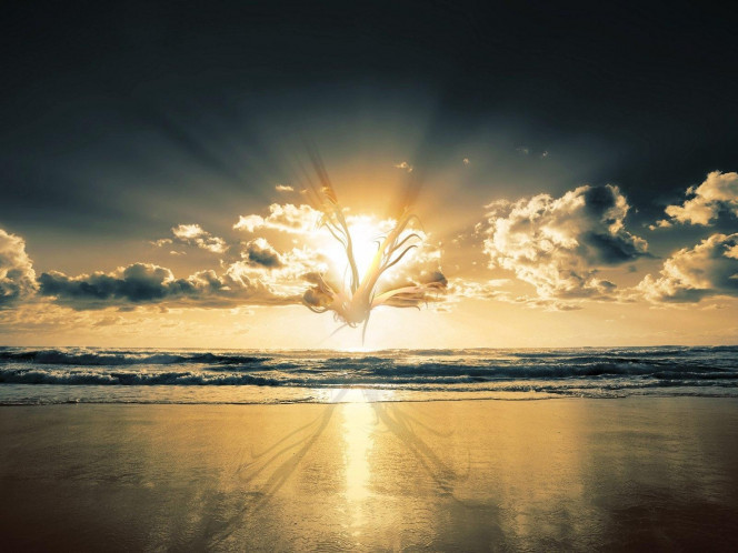 一张美味的图片 &middot; #1547