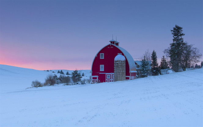 一张美味的图片 &middot; #3197