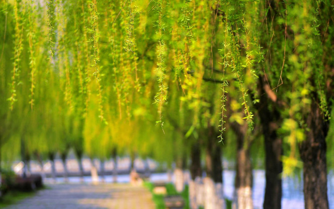 一张美味的图片 &middot; #60