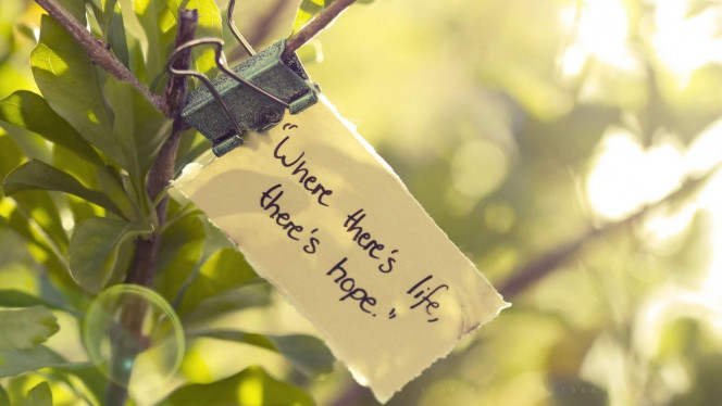 一张美味的图片 &middot; #3575