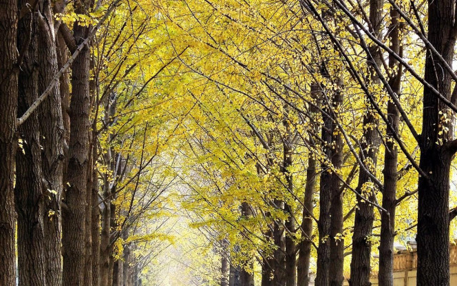 一张美味的图片 &middot; #908