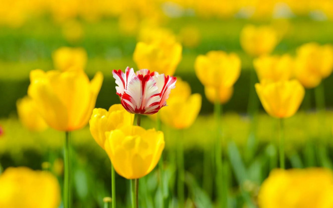 一张美味的图片 &middot; #2895