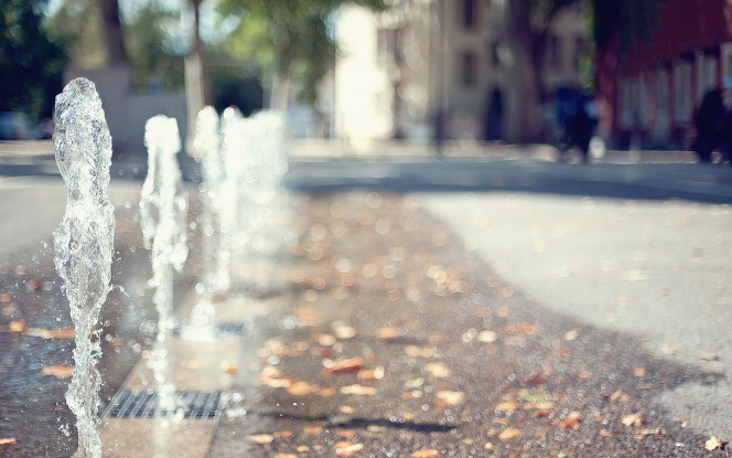 一张美味的图片 &middot; #1117