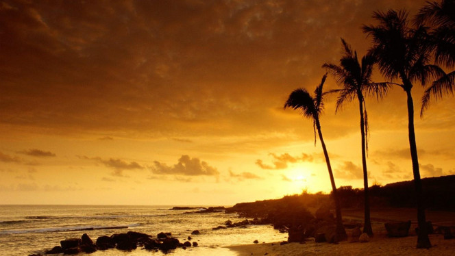 一张美味的图片 &middot; #4583